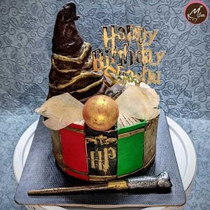 Harry Potter customized theme cakes in coimbatore