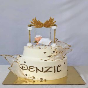 customized-birthday-theme-cakes-designs-in-coimbatore-100 (2)