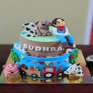 customized-birthday-theme-cakes-designs-in-coimbatore-100 (3)