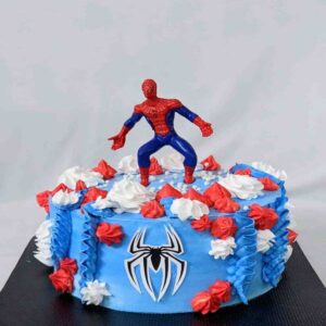 customized-birthday-theme-cakes-designs-in-coimbatore (13)