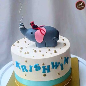 customized-birthday-theme-cakes-designs-in-coimbatore (13)
