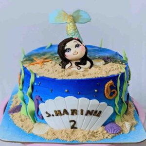 customized-birthday-theme-cakes-designs-in-coimbatore (14)