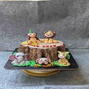 customized-birthday-theme-cakes-designs-in-coimbatore (66)