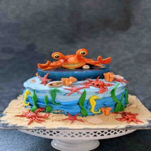 customized-birthday-theme-cakes-designs-in-coimbatore