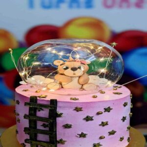 customized-birthday-theme-cakes-designs-in-coimbatore (78)