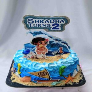 customized-birthday-theme-cakes-designs-in-coimbatore (79)
