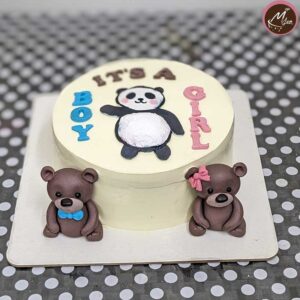 gender revel -babyshowertheme--cake-design-coimbatore