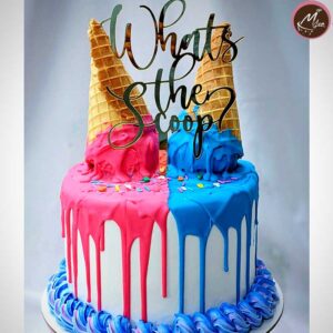 gender revel theme-baby shower-cake-design-coimbatore